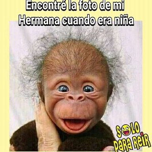 sin ti