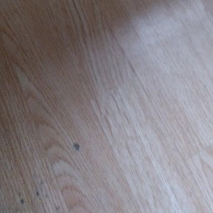 Shadow People