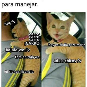 gracias