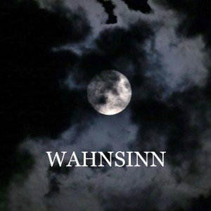 WAHNSINN