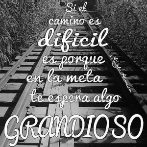 La Calle 