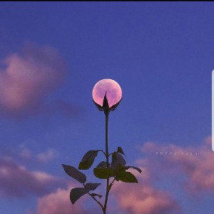 LXN-TYPE-BEAT_Cherry