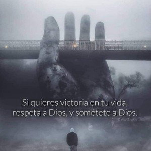 vida