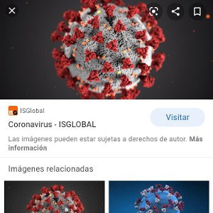 coronavirus