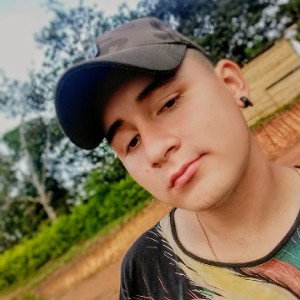 insulto