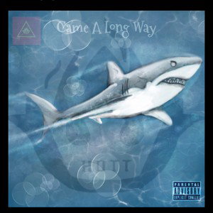 Came a long way mp3