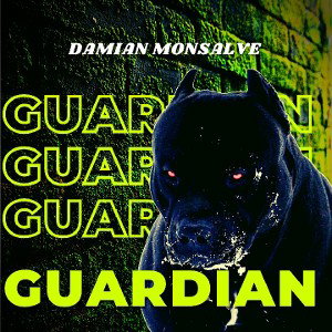 Guardian - Damian Monsalve 