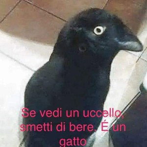 E invece no 