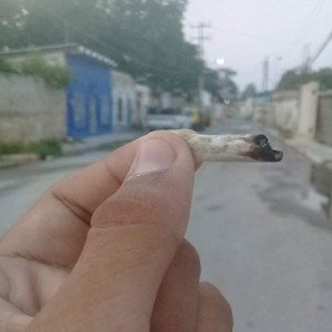 compa Edwin