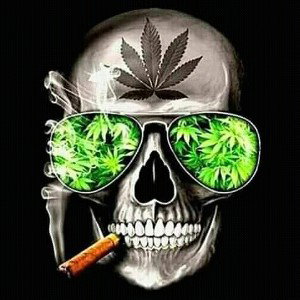 Bien Lokotes