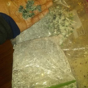 gummyXXXwave