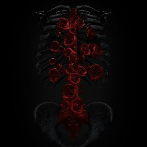 Quasi star - golden coffin