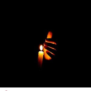 SHED LIGHT