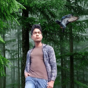rohit Singh 