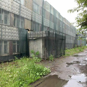 мой сторис 