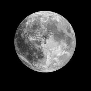 The ultra ego(ft $avage the God)