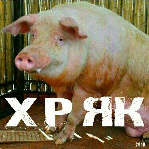 Молоко+