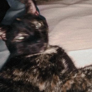Sofá-cama
