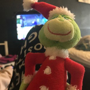 District on little grinch 