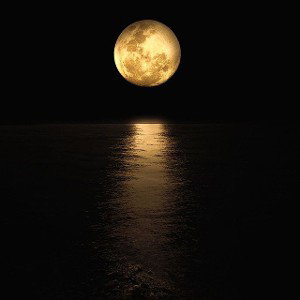 🌙Nocturno 🎶