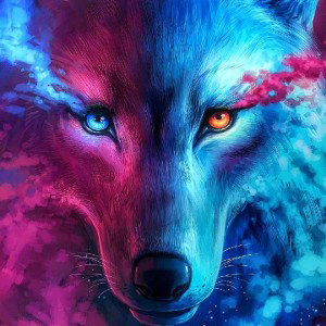 wolf