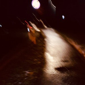DerUnbekannte - Fick auf den Staat 