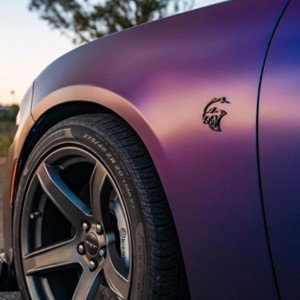 She Got Dah HellCat