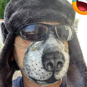 #dandolemas