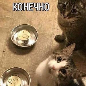 это Киржач