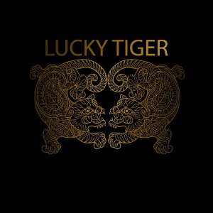                 DJ LuckyBGTiger - Texnodron               