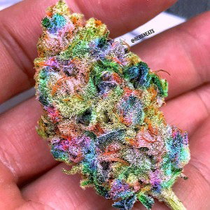 (''smoke shesh thoughts")