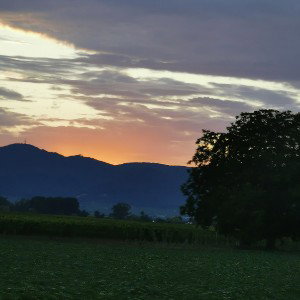 Soldaten des Herrn