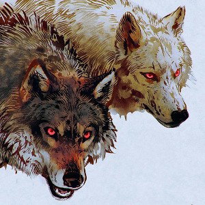fox vs wolf