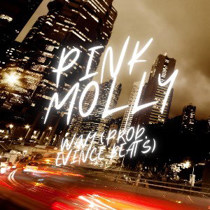 Pink Molly (prod. Evince beats)