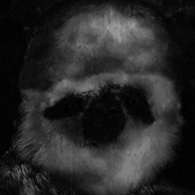 Black_16-08