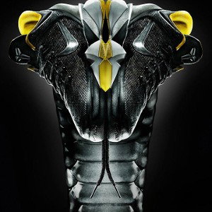 venomous snake
