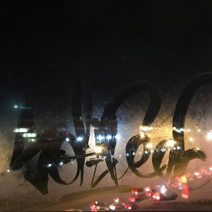 крокодил проходил