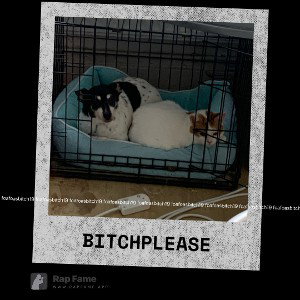 Bitch please 