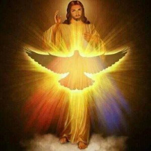 A witness of the light of christ: I am.