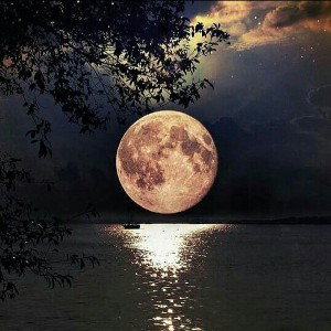 فرشته نجات