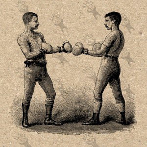  The fight
