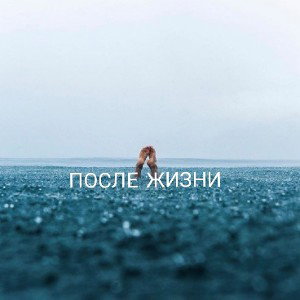 После жизни