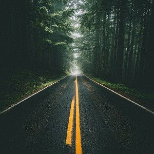 мишень ты 