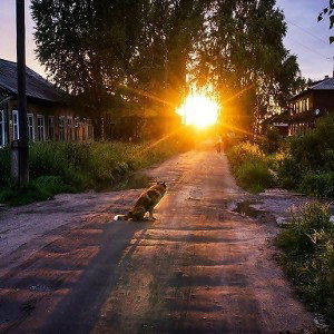 Вышел рано 