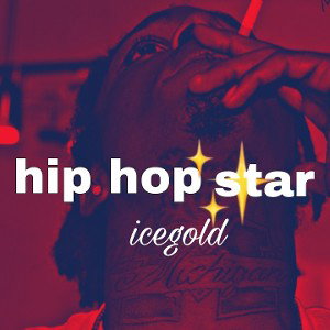       hip hop star                        