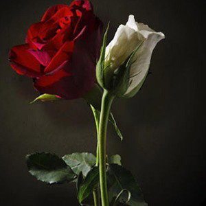 love u 4 life