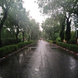 Milon Chala |An ode for the lost love