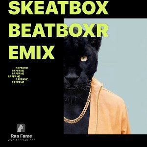 SkeatboxBeatboxremix