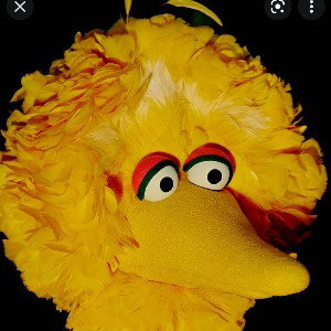Sesame Streets