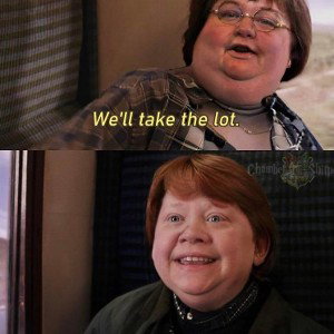 HOGWARTS TRAIN.